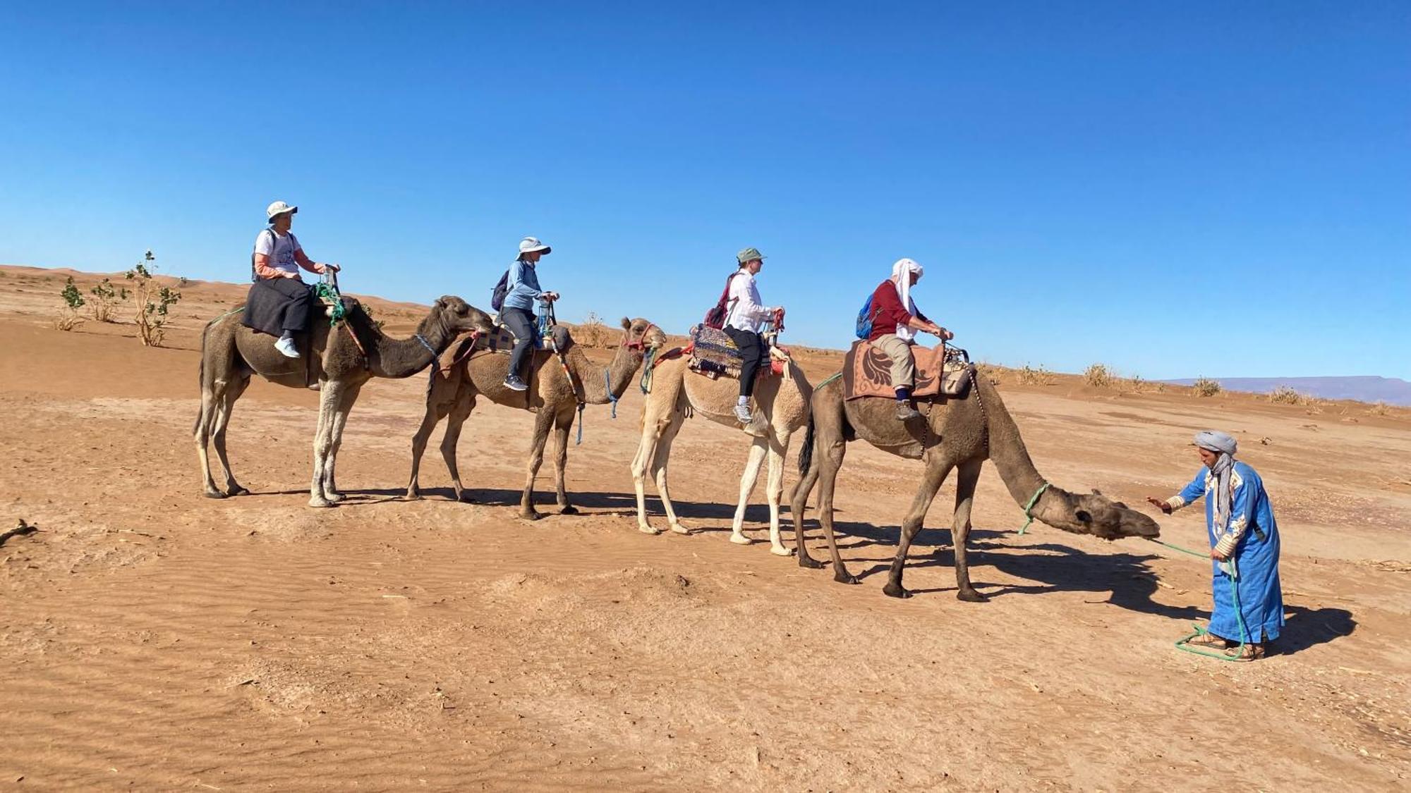 Atta Desert Camp El Gouera Luaran gambar