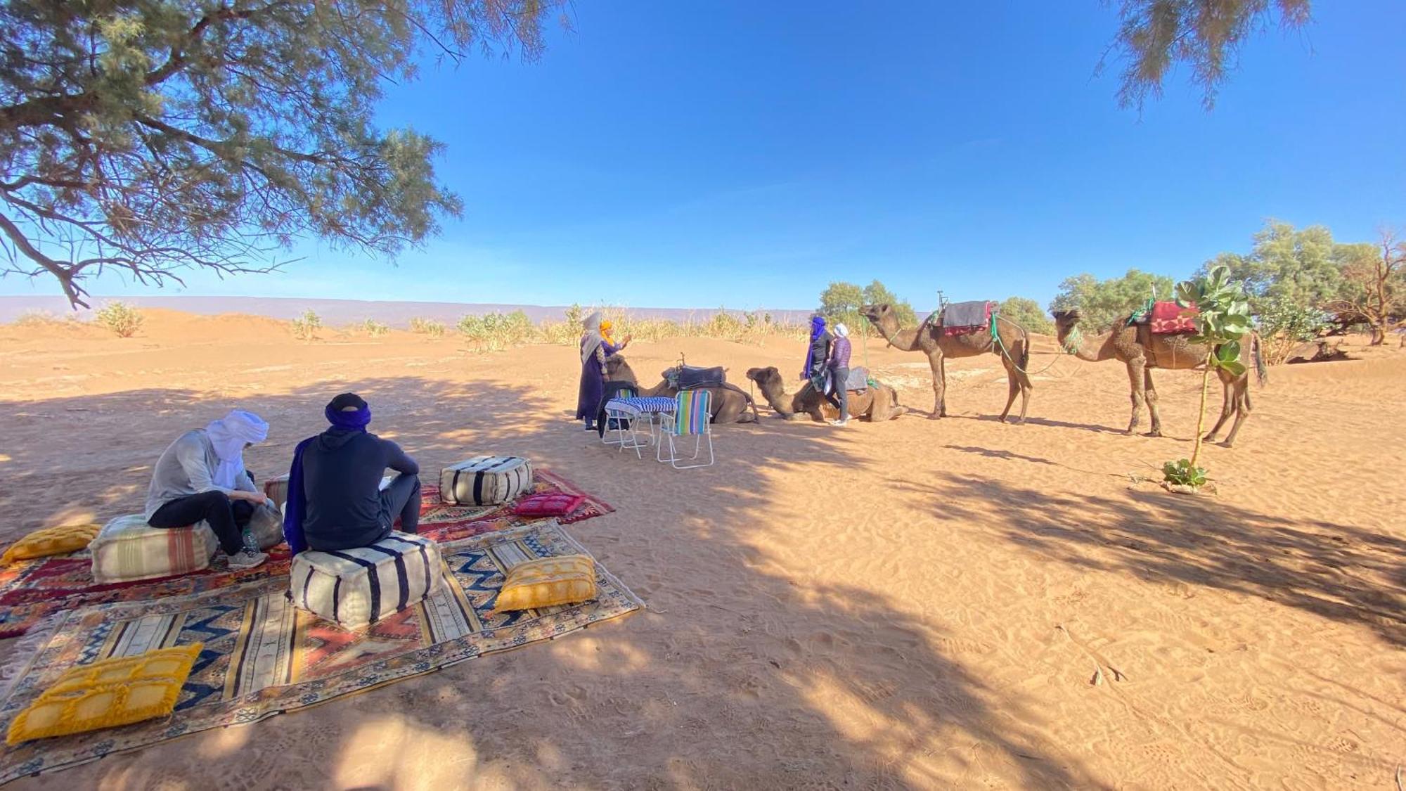 Atta Desert Camp El Gouera Luaran gambar