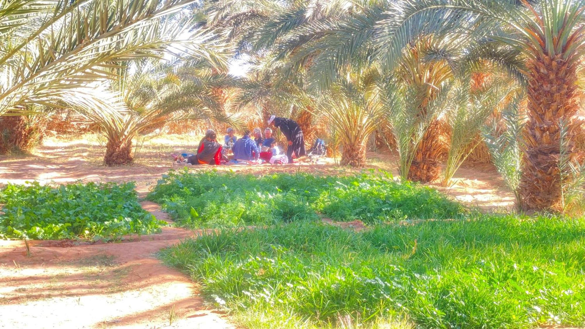Atta Desert Camp El Gouera Luaran gambar