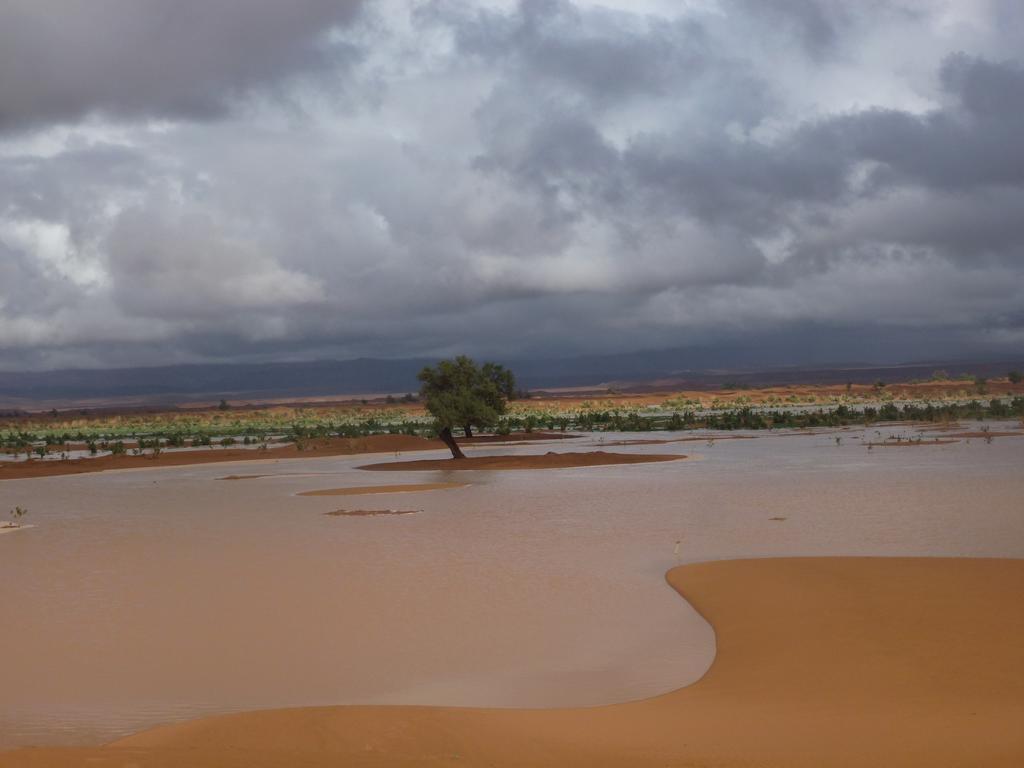 Atta Desert Camp El Gouera Luaran gambar