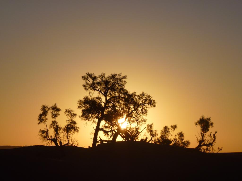 Atta Desert Camp El Gouera Luaran gambar