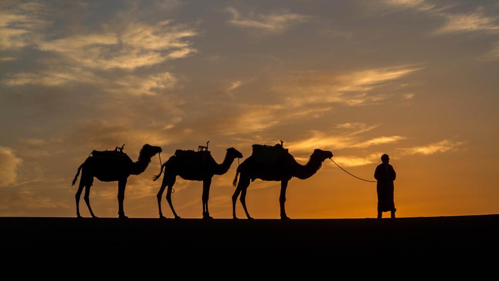 Atta Desert Camp El Gouera Luaran gambar